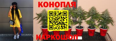 молекула духа Тулун