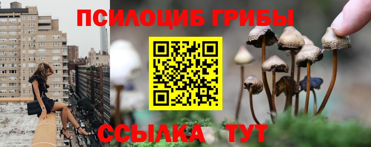 Галлюциногенные грибы Psilocybine cubensis  Вход с VPN  купить закладку  Сунжа 