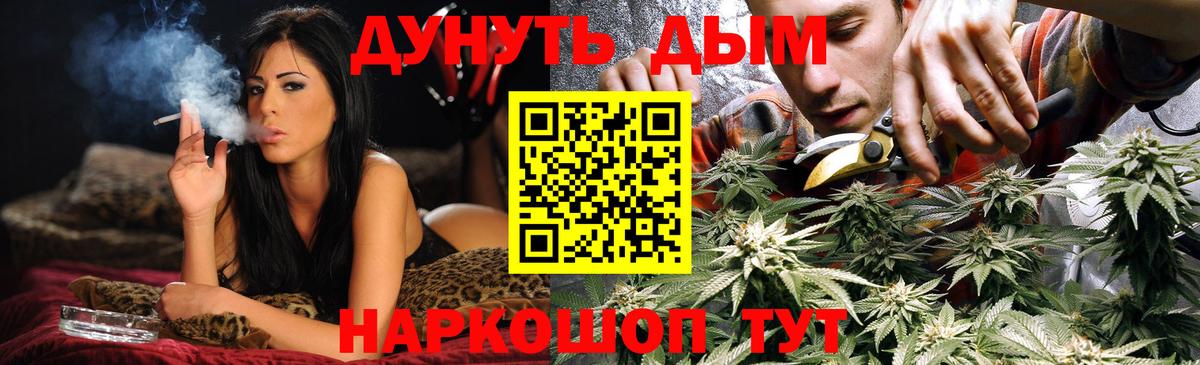 Шишки марихуана Bruce Banner  Вход с VPN  Бошки марихуана Amnesia  Конопля план  Каннабис марихуана  Сунжа 